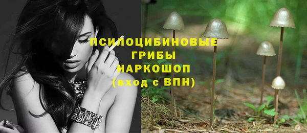 бошки Алзамай