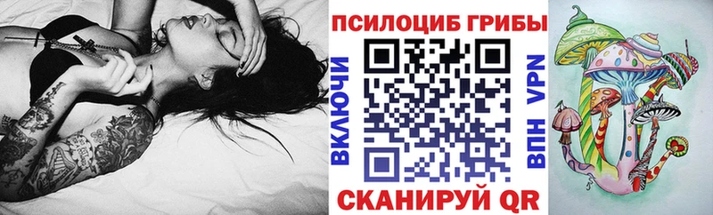 хочу   Всеволожск  Псилоцибиновые грибы GOLDEN TEACHER 